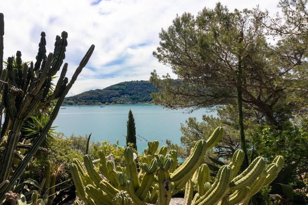 Il Giardino Tra Cielo E Mare Lejlighed Porto Venere Eksteriør billede